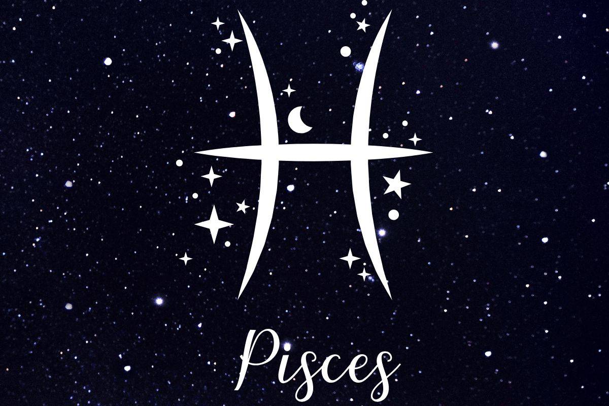 Pesci
